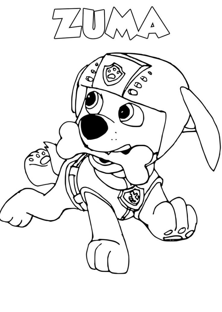 Desenho do Zuma, o corajoso filhote da Patrulha Canina pronto para colorir e salvar o dia com muita diversão!