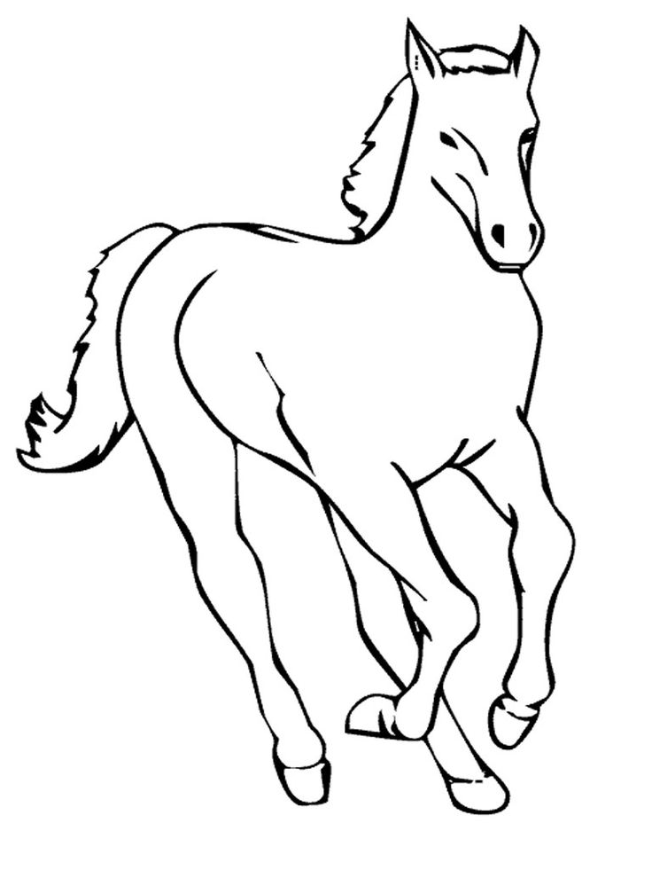 Imagem de um cavalo em estilo realista, correndo, com crina e cauda visíveis, pronto para colorir e imprimir.