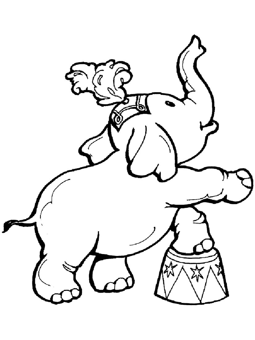 Desenho de um elefante de circo equilibrando-se em um tambor, com cocar e tromba levantada para imprimir e colorir.