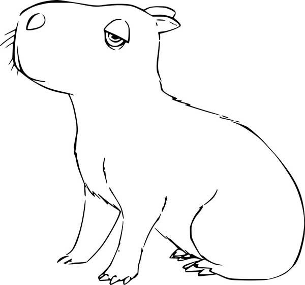 Desenho de capivara sonolenta com corpo robusto e olho semicerrado para imprimir e colorir.