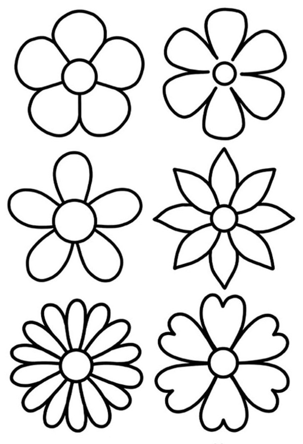 Desenho de seis flores com pétalas variadas, perfeitas para aprender sobre botânica e a natureza.