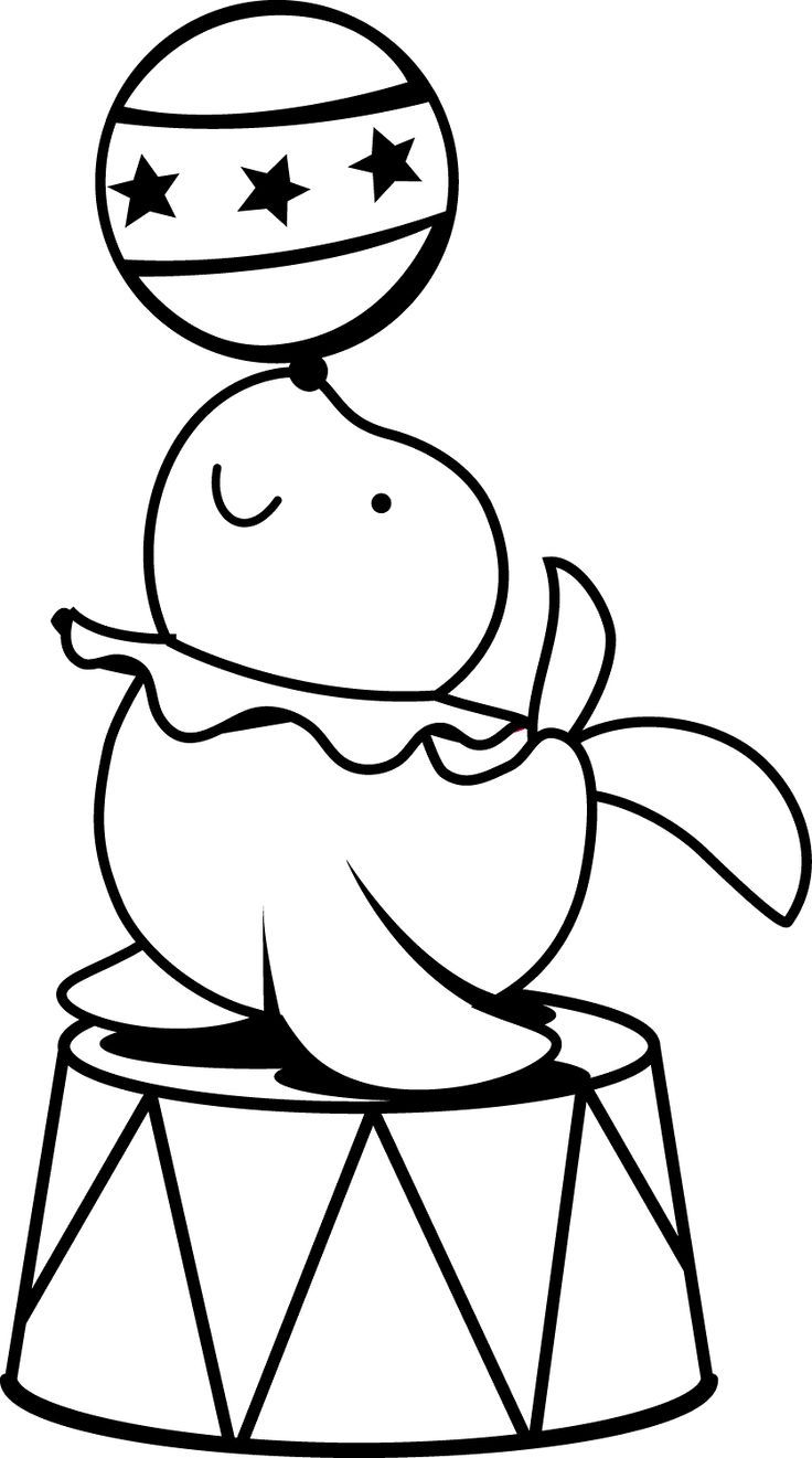 Desenho de uma foca de circo equilibrando uma bola com estrelas no nariz, pronta para imprimir e colorir.