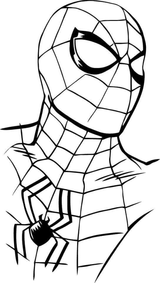 Desenho do Homem-Aranha com máscara de teia e aranha estilizada para imprimir e colorir.