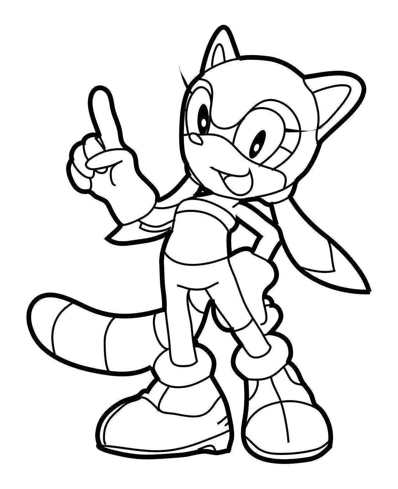 Desenho da Marine the Raccoon, a aventureira de Sonic, para imprimir e colorir.