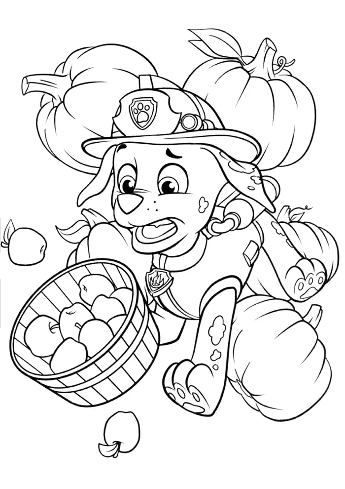 Desenho do Marshall da Patrulha Canina assustado segurando cesta de maçãs em meio a abóboras para colorir.