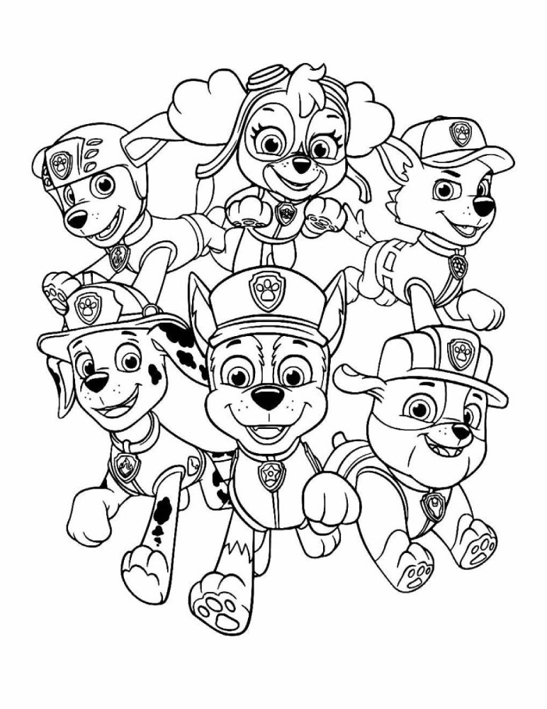 Desenho da Patrulha Canina com Chase, Marshall, Skye, Rubble, Rocky e Zuma para colorir e atividades infantis.