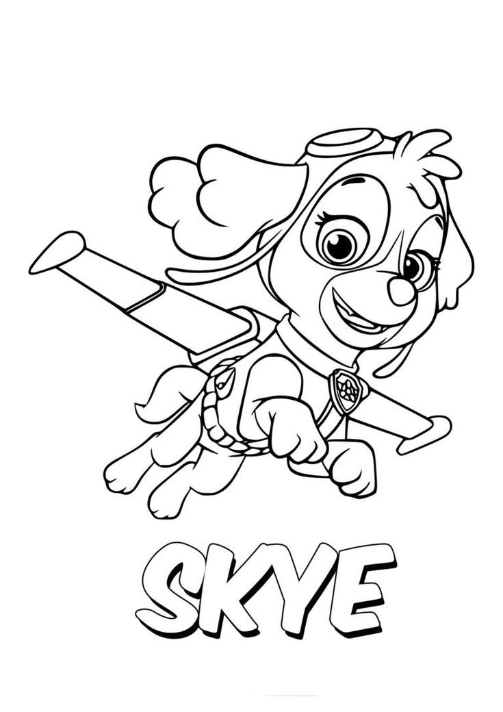 Desenho da Skye da Patrulha Canina, a cachorrinha Cockapoo voadora, pronta para imprimir e colorir.